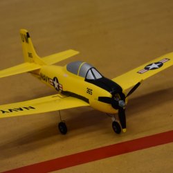 Indoor Flying 2019
